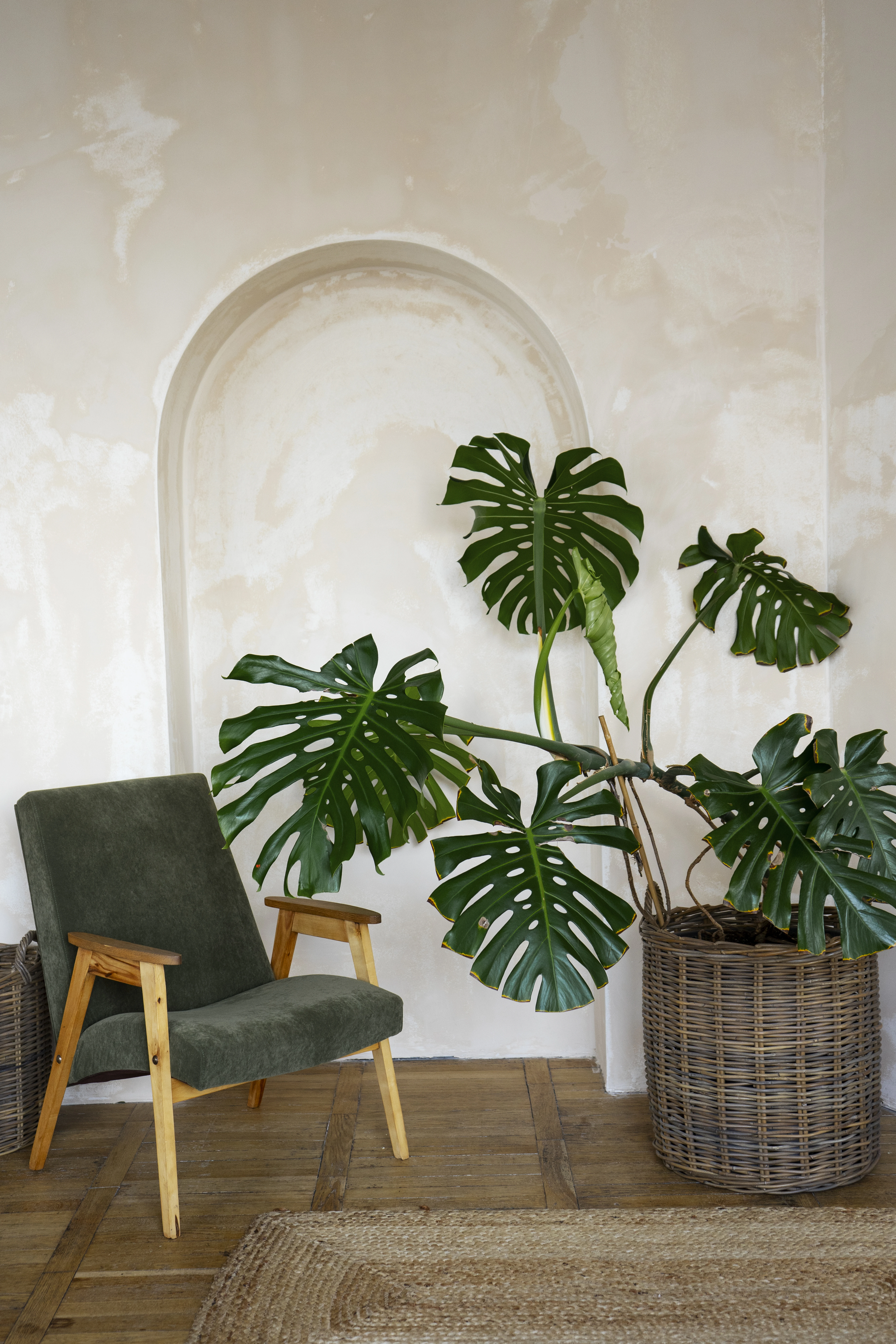 Calming biophilic interior detail of a relaxation area